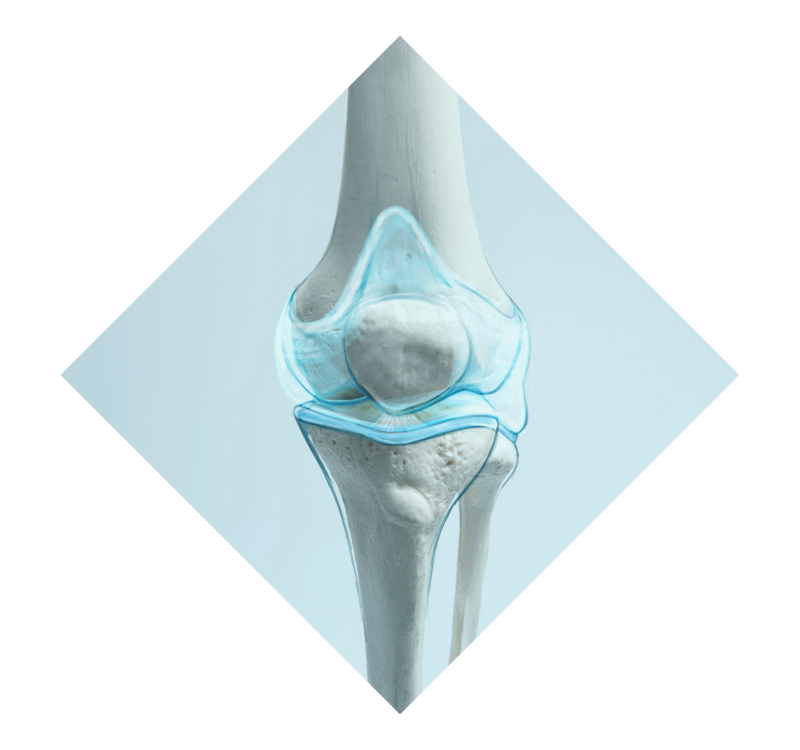 Knee & Shoulder Cartilage Restoration in Park City & Salt Lake City Utah